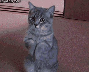 Click image for larger version

Name:	giphy.gif
Views:	158
Size:	1.81 MB
ID:	3550